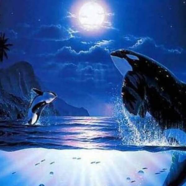 Dolphins Under the Moonlight - DIY Diamond Painting