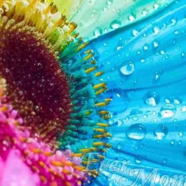 Rainbow Flower - DIY Diamond  Painting