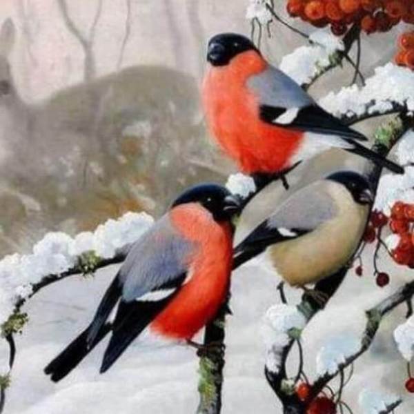 Red Bird in Snow - DIY Diamond Painting