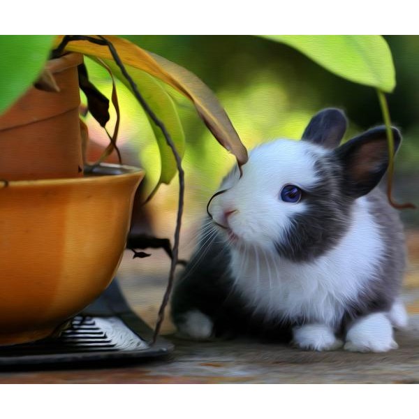 Cute Little Bunny - DIY Diamond Painting