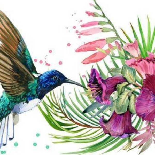 Humming Bird and an Orchid - DIY Diamond Painting