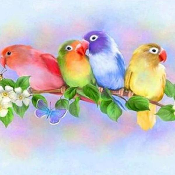 Colorful Parrots - DIY Diamond Painting