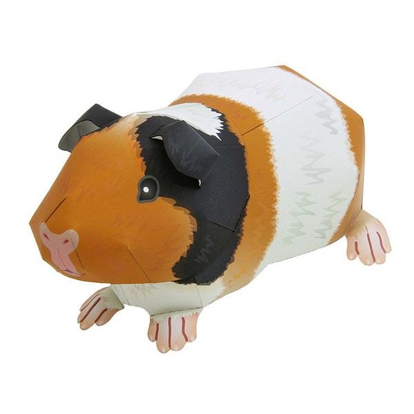 Guinea Pig DIY 3D Origami