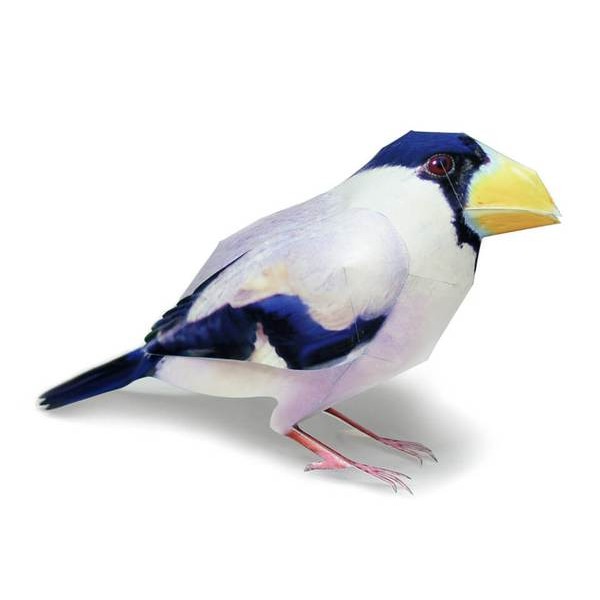 Grosbeak Bird DIY 3D Origami