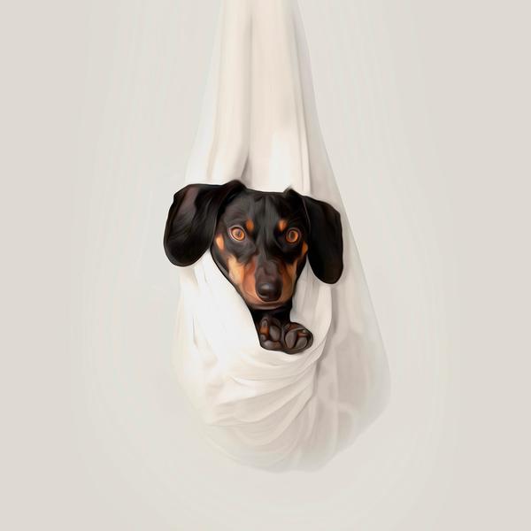 Hanging Dachshund - DIY Diamond Painting