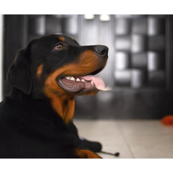 Polite Rottweiler - DIY Diamond Painting