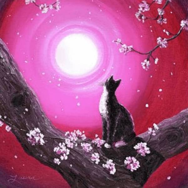 Moon Cat - DIY Diamond Painting