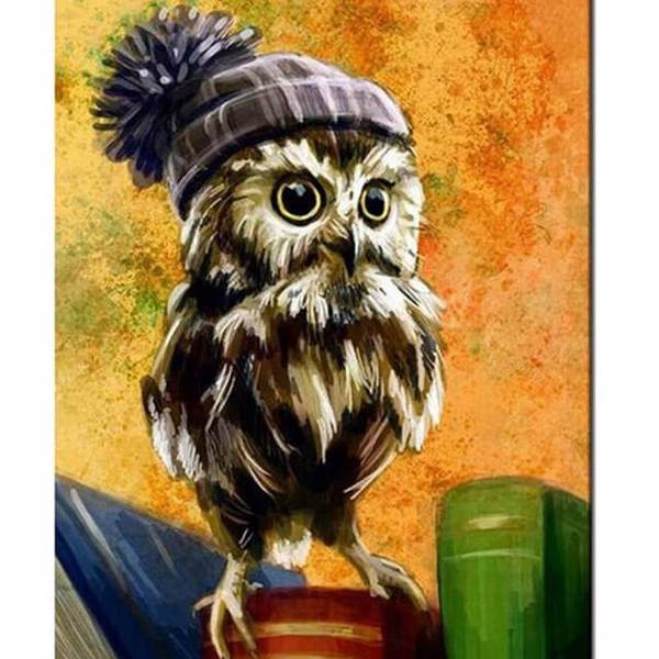 Owl with a hat - DIY Diamond Painting