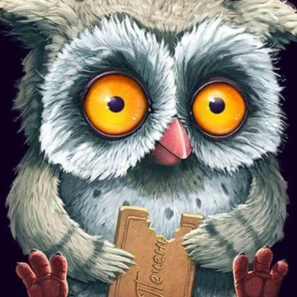 Owl Eating Biscuit - DIY Diamond Painting