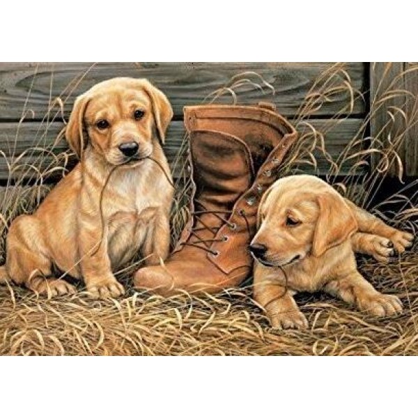 Labrador - DIY Diamond Painting