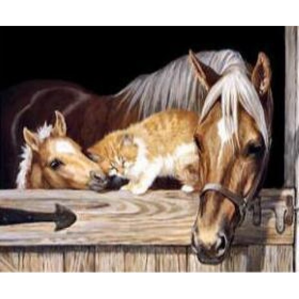 Horse and Cat in a Barn - DIY Diamond Painting