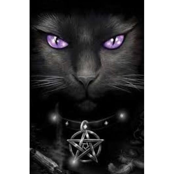 Gothic Cat - DIY Diamond Painting